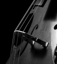 Sonates et pieces pour le clavecin: `La Criboleo`,  ()